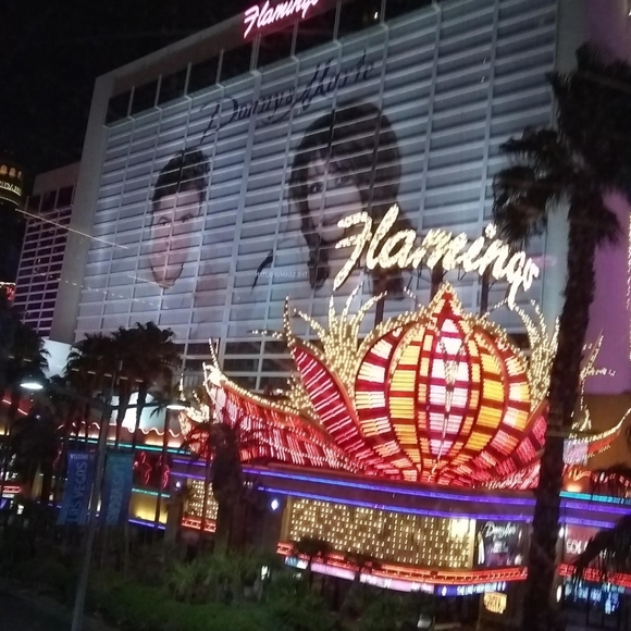 Meet your Posher, Terri - Picture 6 of 16